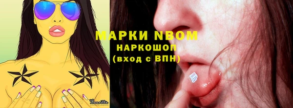 индика Армянск