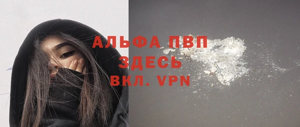 индика Армянск