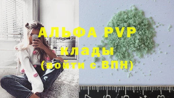 твердый Арсеньев
