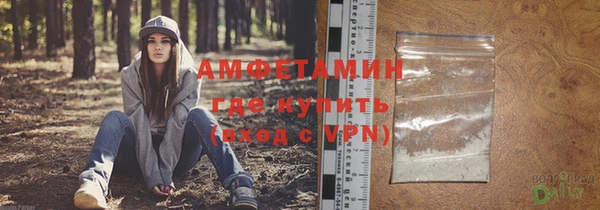 твердый Арсеньев