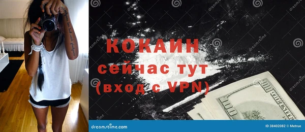 твердый Арсеньев