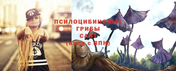 индика Армянск