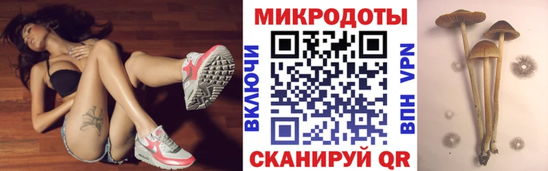 кракен зеркало  Уварово  дарк нет как зайти  Галлюциногенные грибы Psilocybine cubensis 